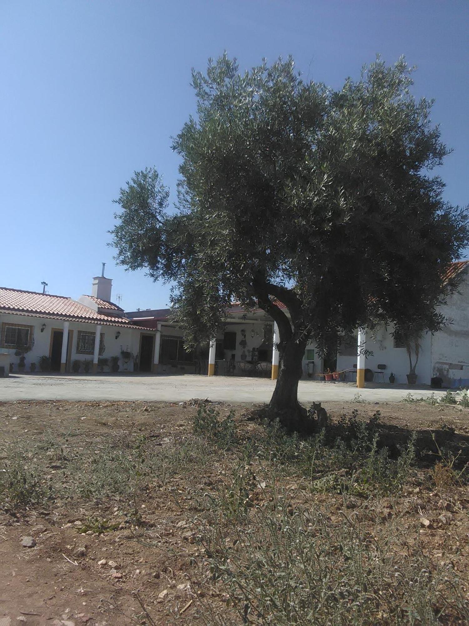 Villa Quintinha Dos Pombinhos Montoito Exterior foto